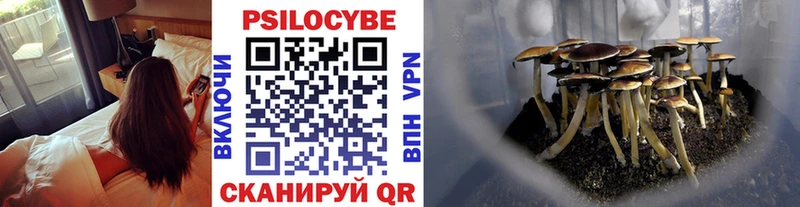 Купить закладки  Ильский  Псилоцибиновые грибы Psilocybine cubensis 