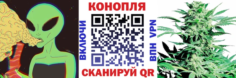 Купить где  Ильский  Конопля VHQ 